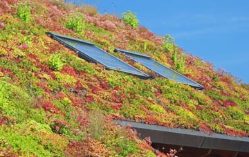 Ollerton living roof systems